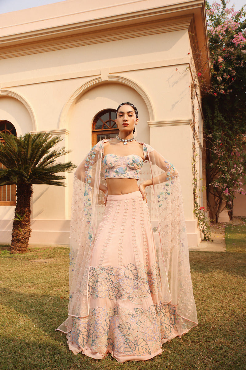 Lehenga With All Things Interesting