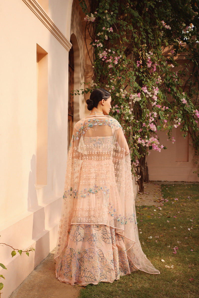 Lehenga With All Things Interesting