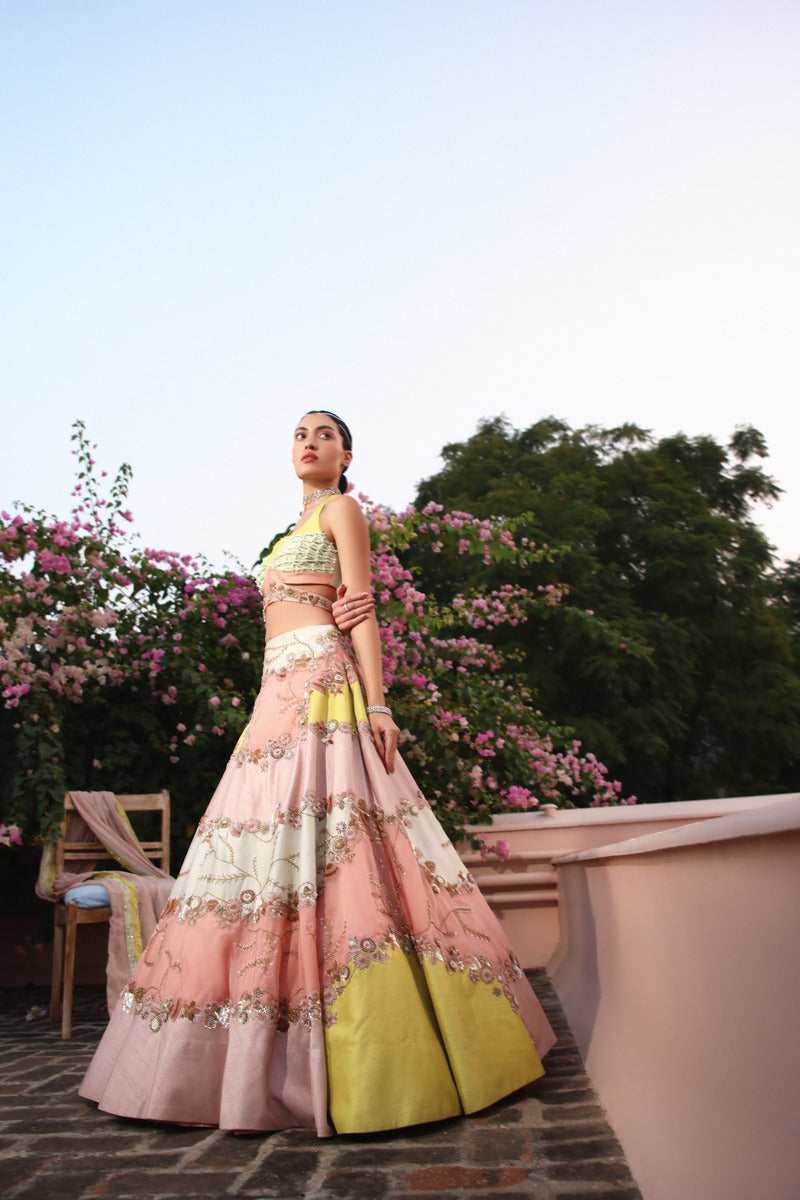 A Beautifully Crafted Multi Hue Lehenga Set