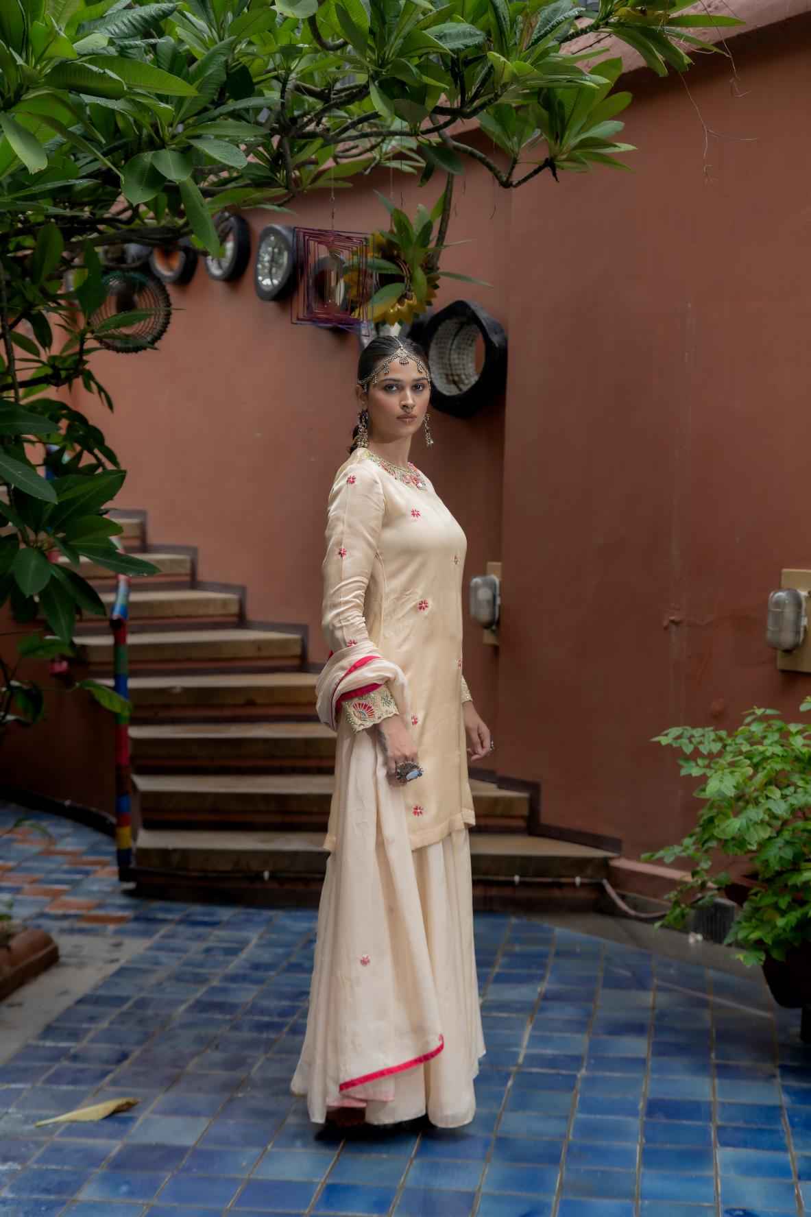 Beige Organza Sharara Set