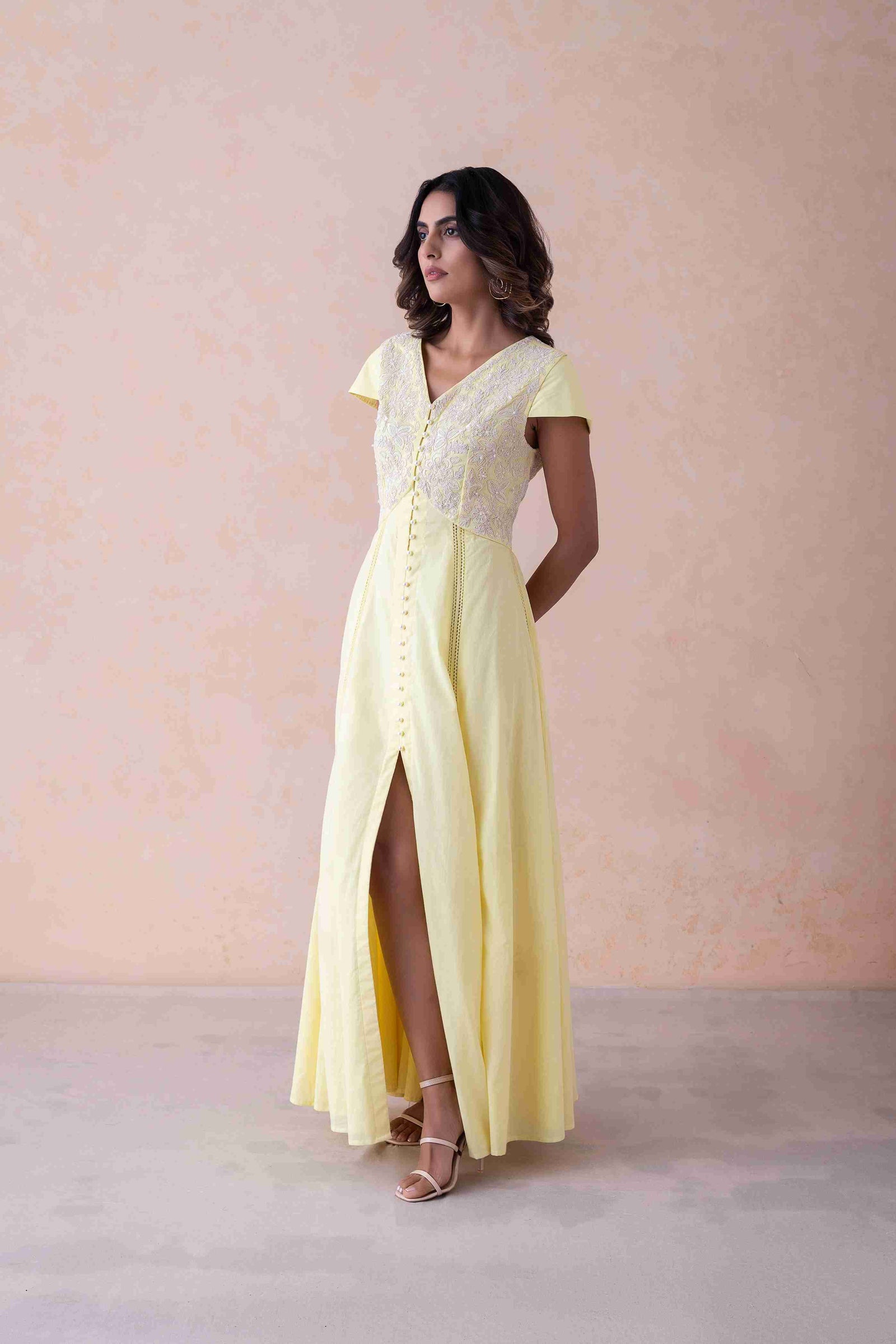 Elegance Dress dori work and hand embroidery.