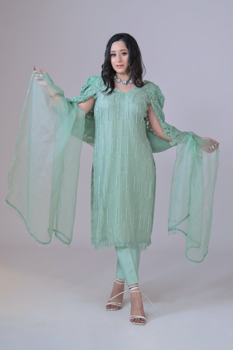 Light green organza shirt with hand Embroidery