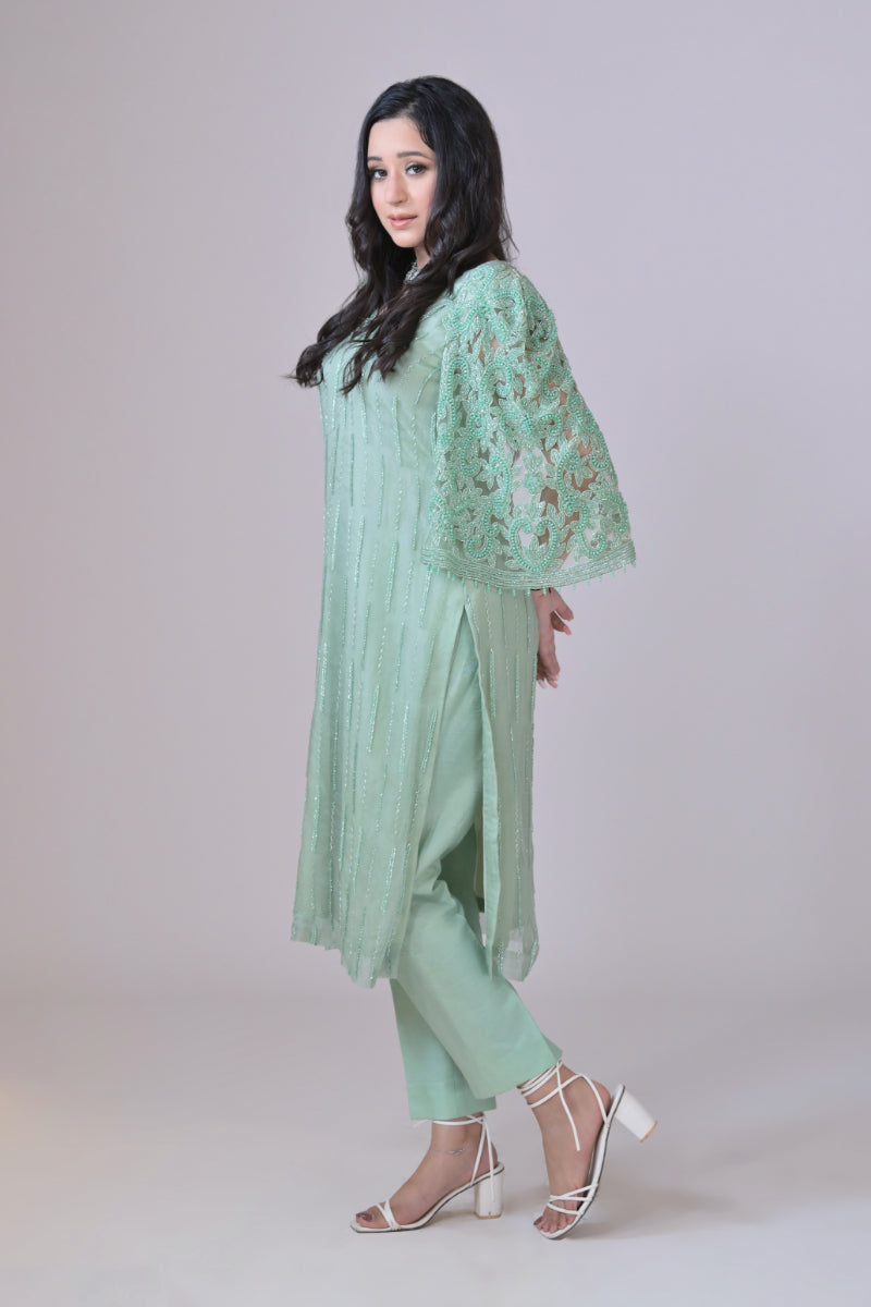 Light green organza shirt with hand Embroidery