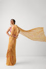 The alipore jhilmil saree set in butter yellow with phool gota blouse