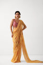 The alipore jhilmil saree set in butter yellow with phool gota blouse