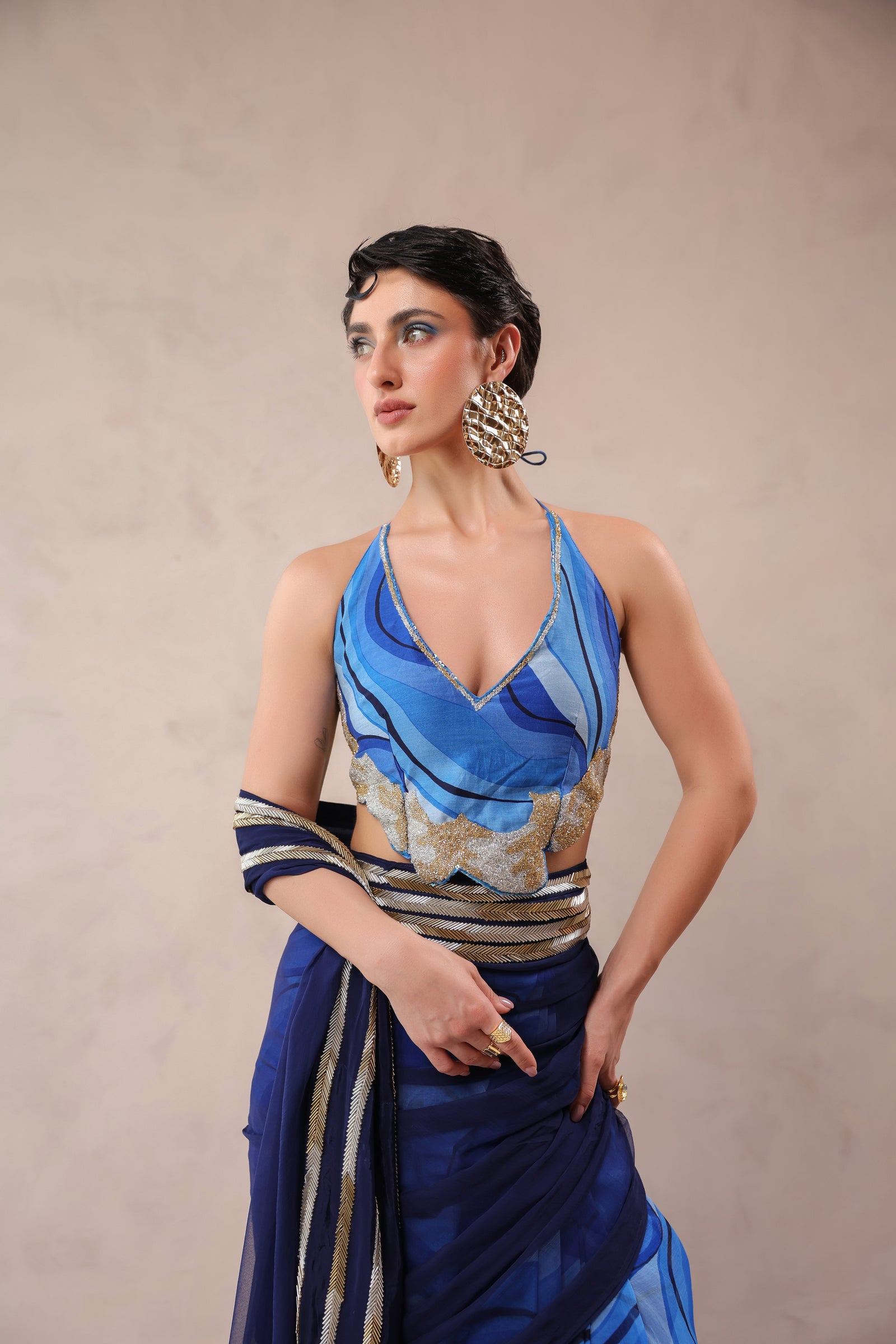 The  Hollywood saree with celebrity backless blouse