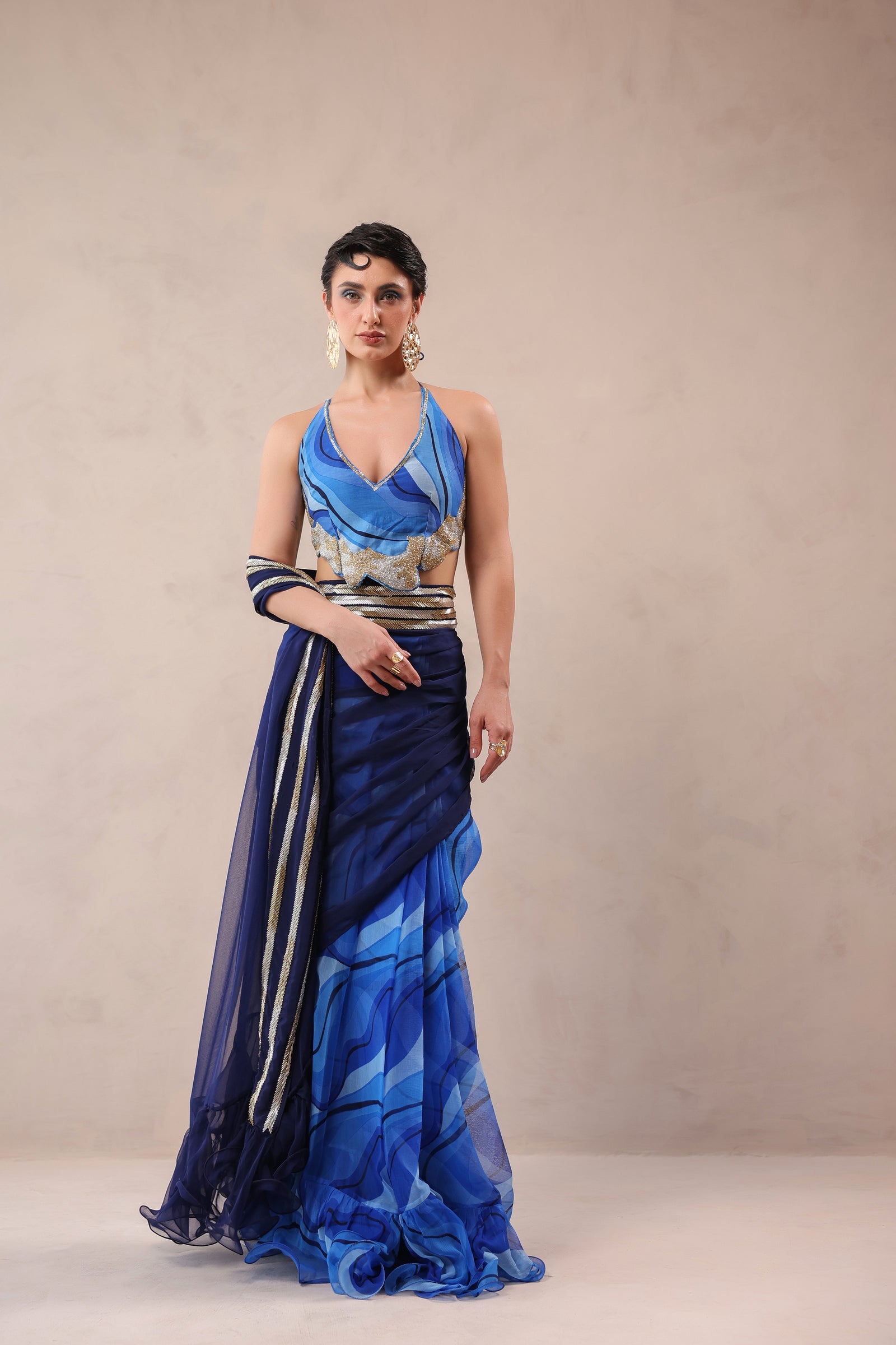 The  Hollywood saree with celebrity backless blouse