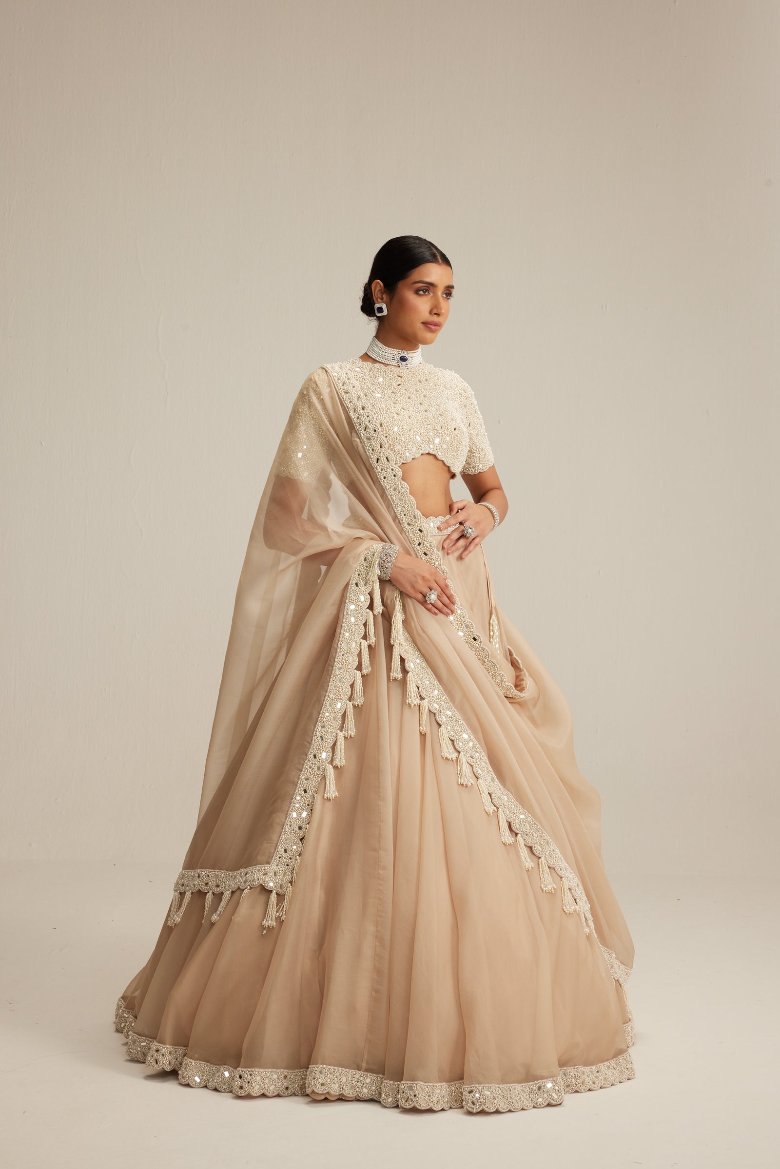 Light Beige High Neck Organza mirror and pearl lehenga set