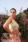 A Beautifully Crafted Multi Hue Lehenga Set