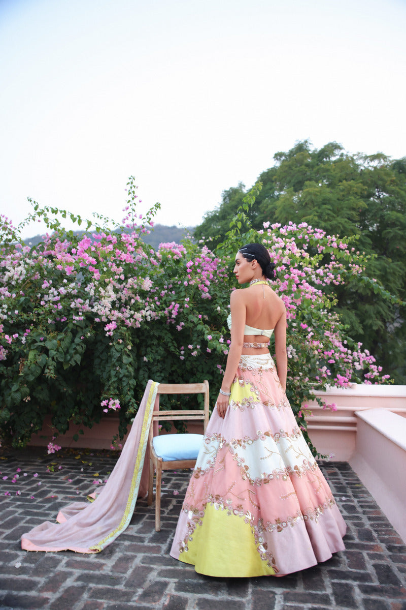 A Beautifully Crafted Multi Hue Lehenga Set