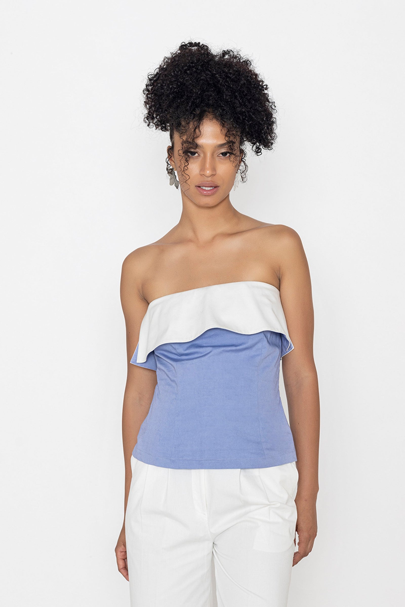 Swan lake Top