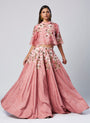 Tiana - Panelled Cocktail Skirt + Feather Crop Top