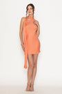 Cosmopolitan Dress