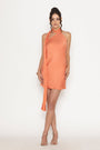 Cosmopolitan Dress