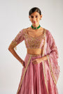 Pink Lehenga In Crushed Silk Tissue Base With Hand Embroidery