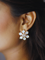 Moissanit Earrings Studs