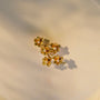 Blossom of 3 flowers