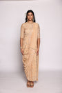 Ankle  Length Concept Saree Dress