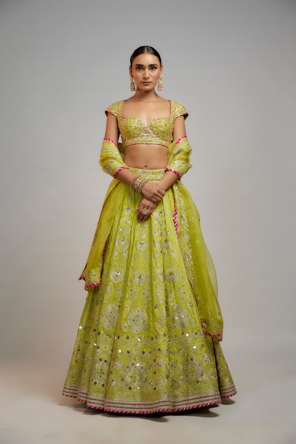 Golconda Nayla lehenga set