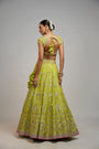 Golconda Nayla lehenga set