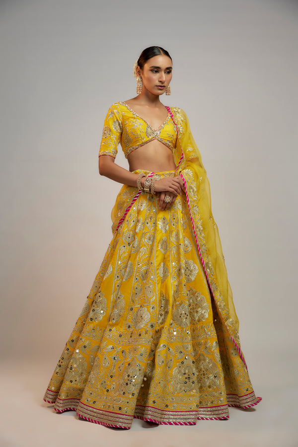 Golconda Anha Lehenga set