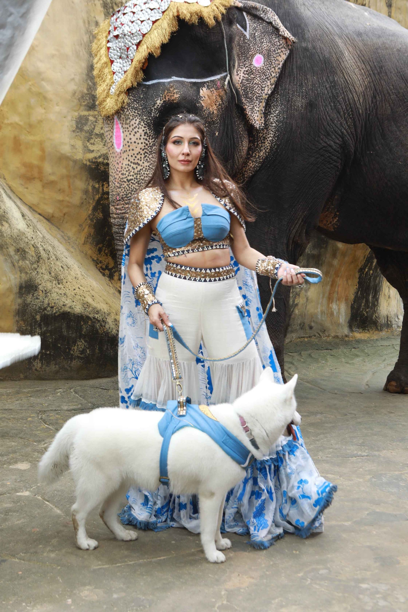 Vory Kota Doria Hand Painted Sharara With Denim Embellished Bustier With Ivory Hand Painted Embellished  Cape