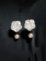 Roshni-e-Chandni Drop Earring