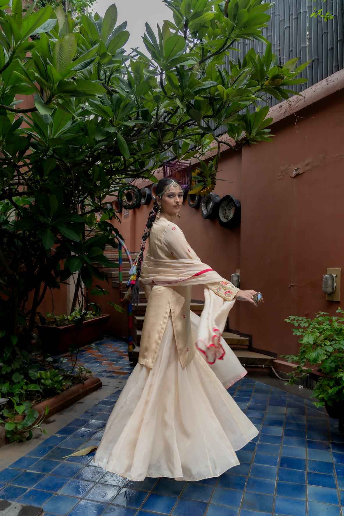 Beige Organza Sharara Set