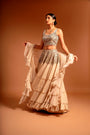 Cygni lehenga & blouse with ruffled dupatta