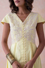 Elegance Dress dori work and hand embroidery.