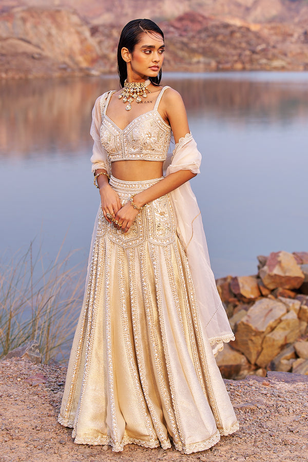 Jalsaa e firdose lehenga set