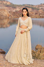 Bahaar e jalsaa sunehri lehenga set