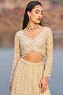 Bahaar e jalsaa sunehri lehenga set