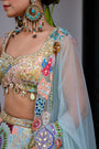 Gardenia Highlighted Lehenga Set