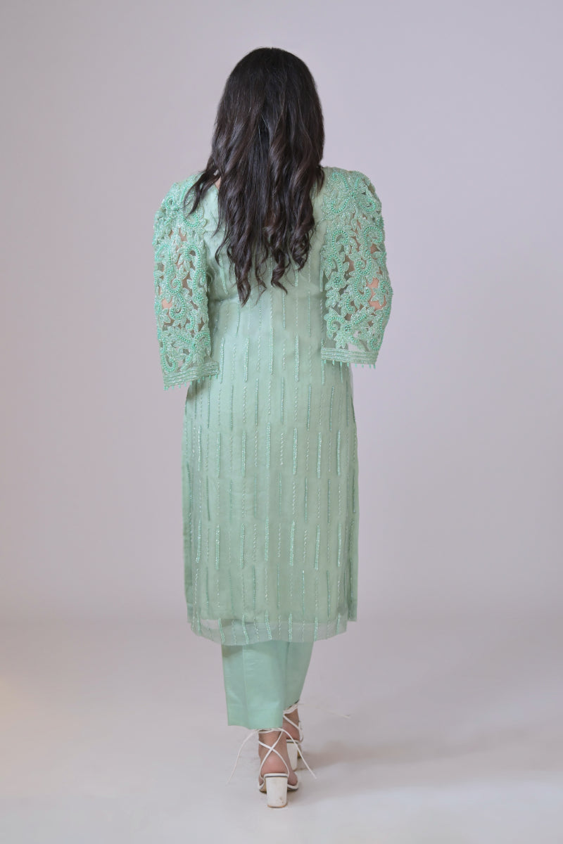 Light green organza shirt with hand Embroidery