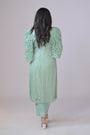 Light green organza shirt with hand Embroidery