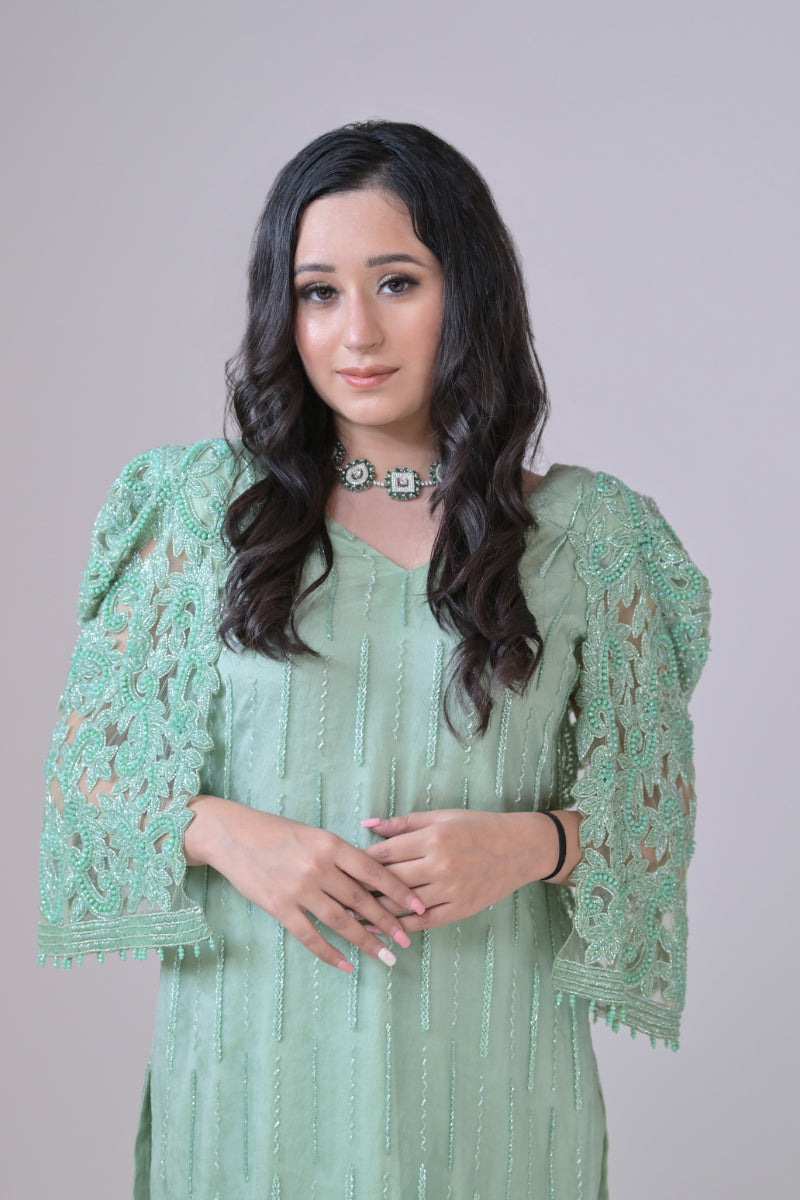 Light green organza shirt with hand Embroidery