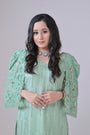 Light green organza shirt with hand Embroidery