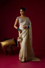 Gold Tissue Saree Set