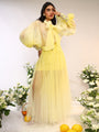 Organza Tie Up Shirt & Tule Skirt
