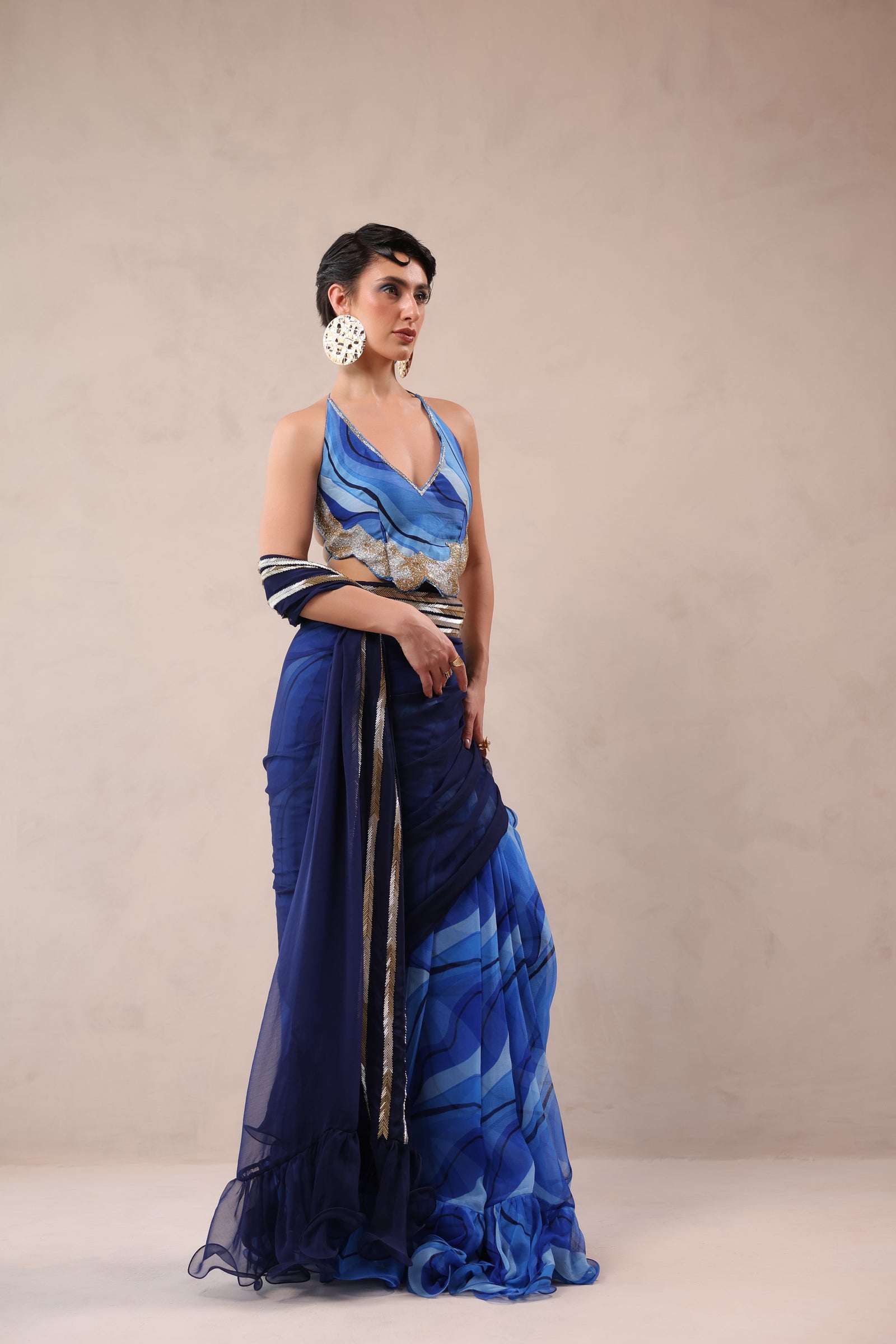 The  Hollywood saree with celebrity backless blouse