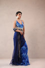 The  Hollywood saree with celebrity backless blouse