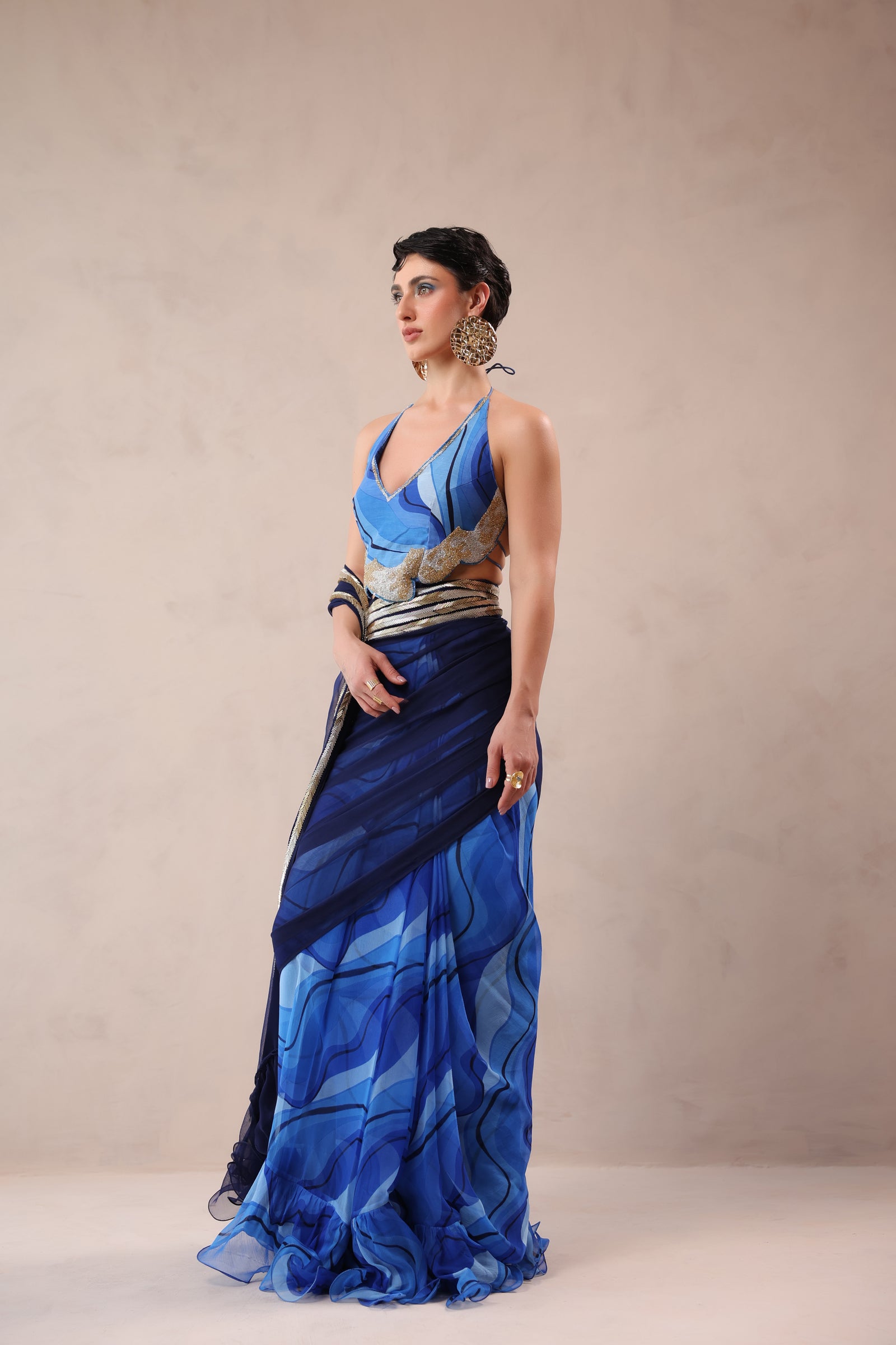 The  Hollywood saree with celebrity backless blouse