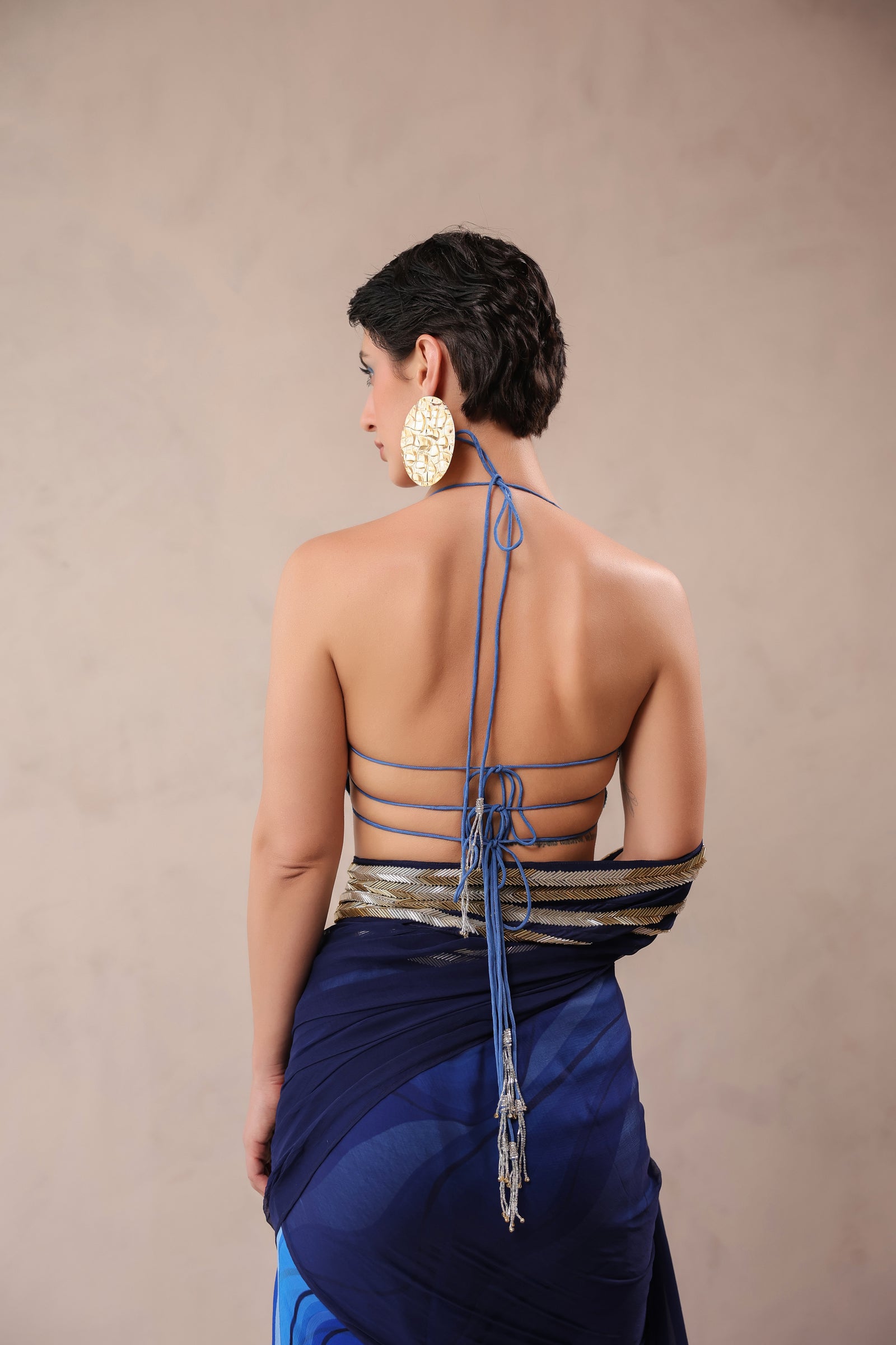 The  Hollywood saree with celebrity backless blouse
