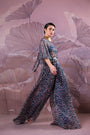Prussian Blue Mukherjee Co-ord