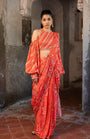 A Pre-Draped Saree Set With Hand Embroidered Blouse
