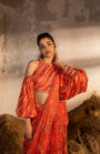 A Pre-Draped Saree Set With Hand Embroidered Blouse