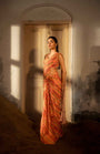 A Pre-Draped Saree Set With Hand Embroidered Blouse