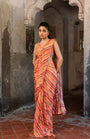 A Pre-Draped Saree Set With Hand Embroidered Blouse