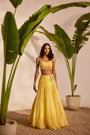 Blossom Lehenga Set